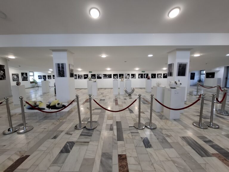 BABEL 2026: IMAGINARIUM – o călătorie artistică în universul ceramicii, la Târgoviște! Anca Vintilă Dragu, expune la Galeria de Artă din foaierul Cinematografului Independența!